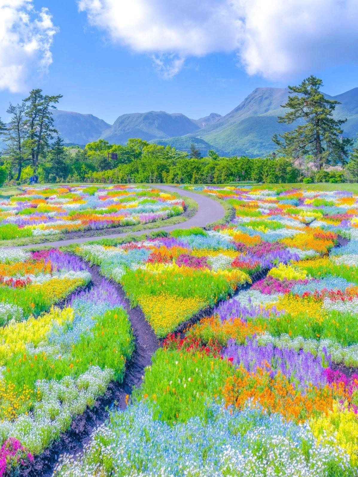 花海種植
